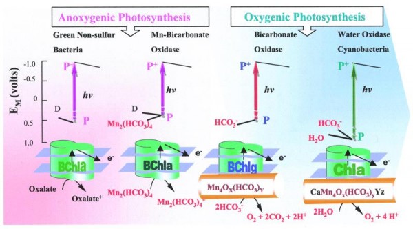 pq0615147005 pq0615147005