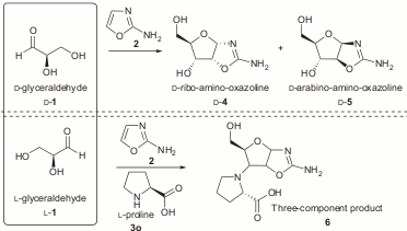stereoselective_ribonucleotide_synth