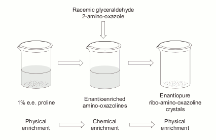 stereoselective_ribonucleotide_synth2